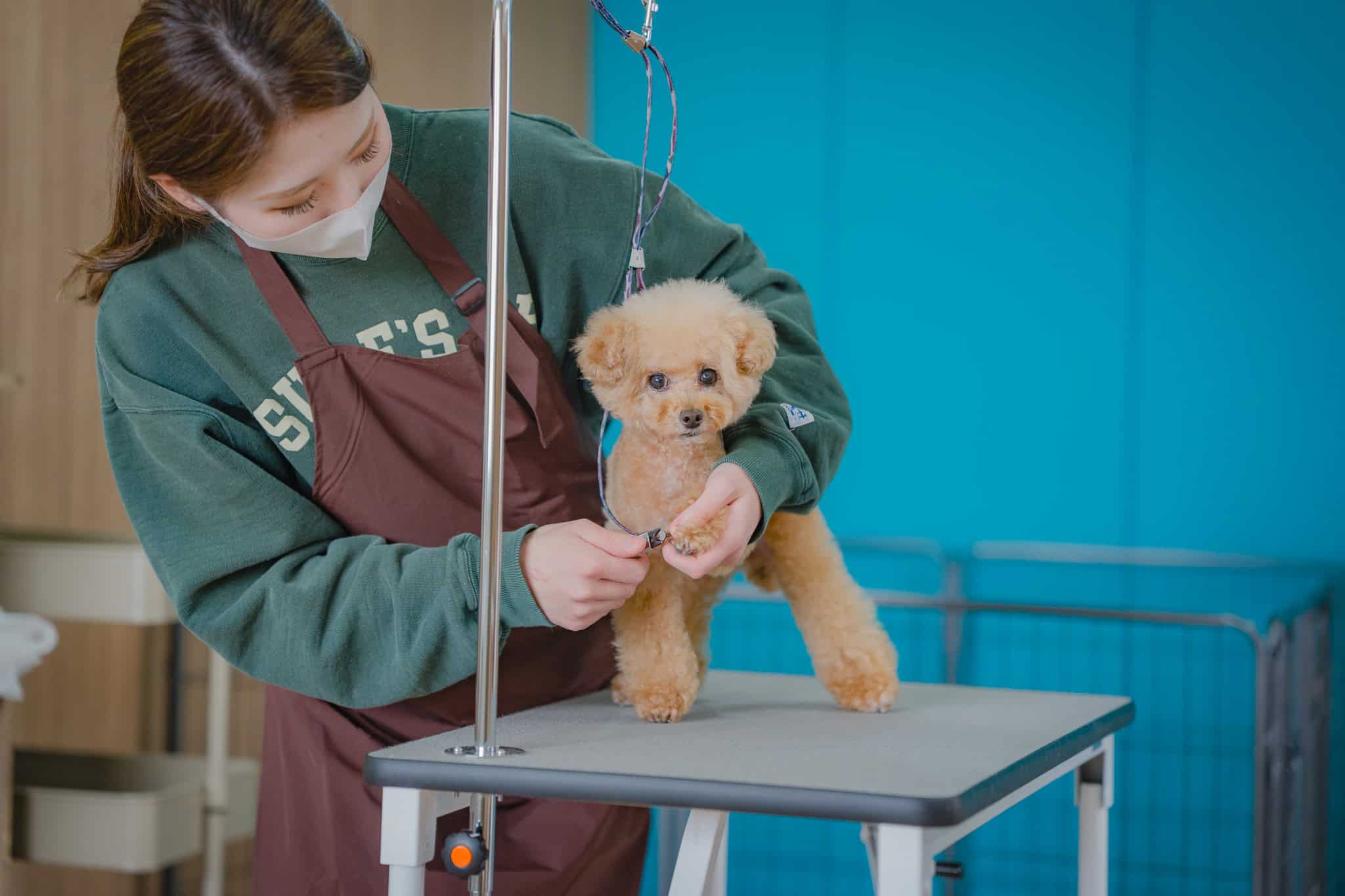 その子のペースを大切に