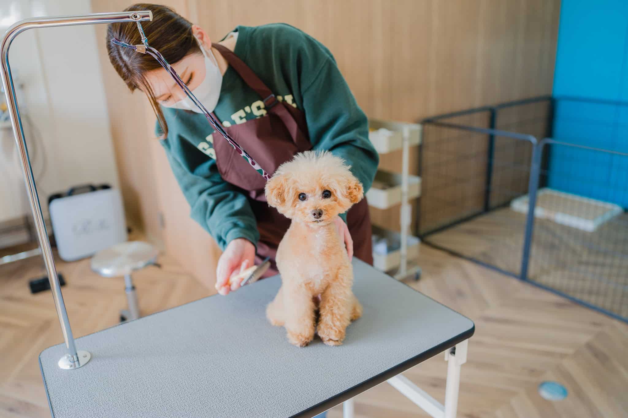 ファーストトリミング