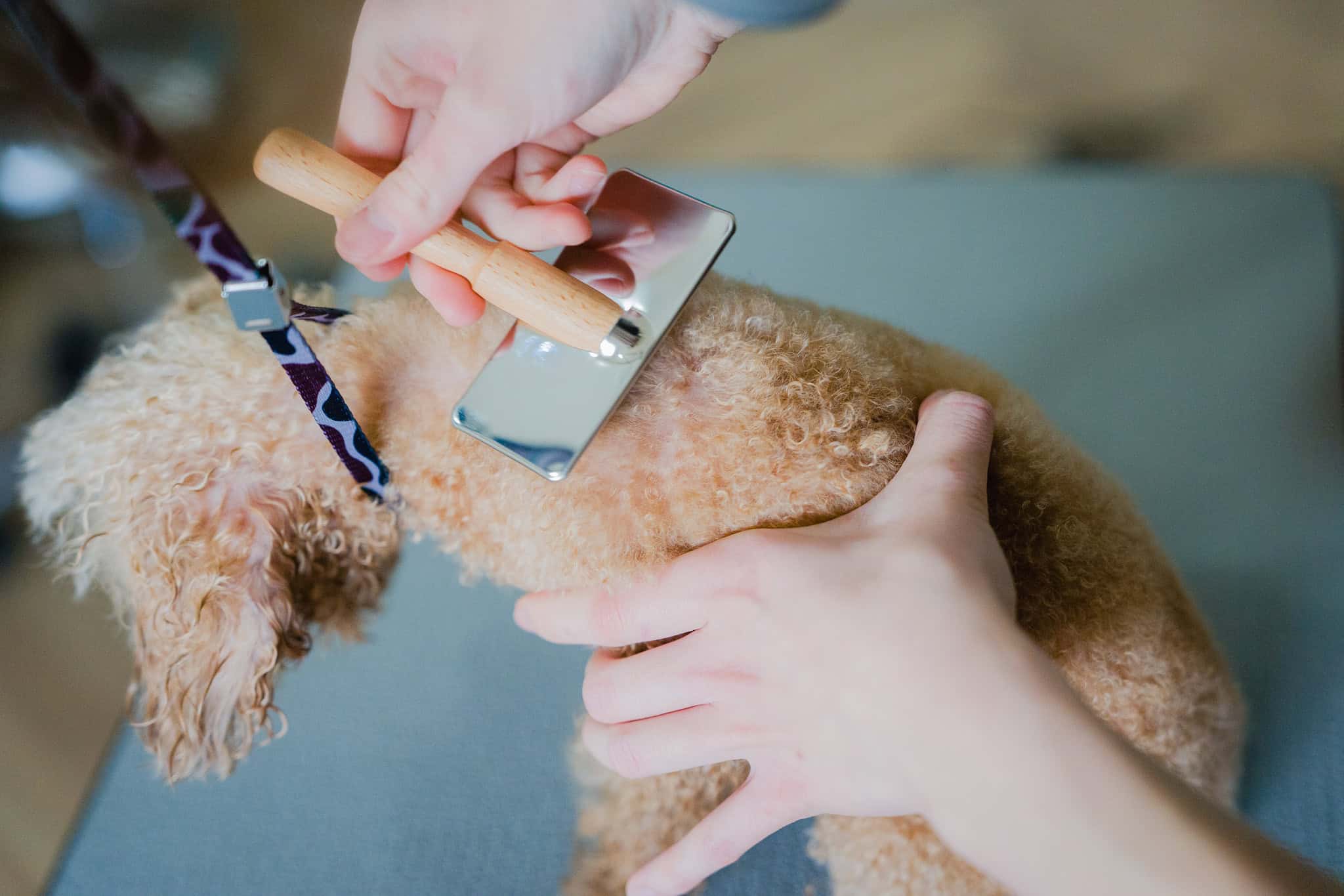 健康パートナー