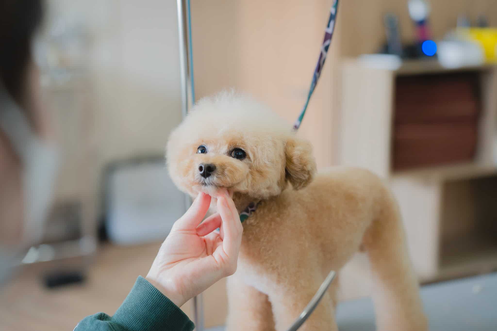 カットのご要望